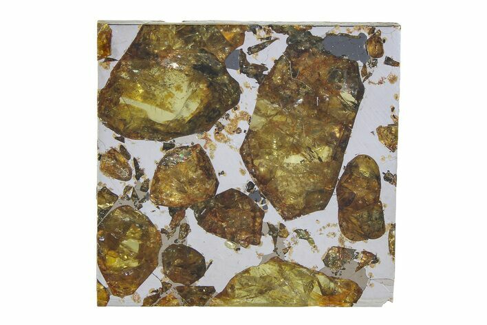 Brahin Pallasite Meteorite ( g) Slice - Belarus #351934